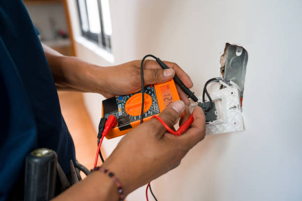 Best Electric Panel Repair  in Pocomoke City, MD